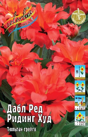 Дабл ред ридинг