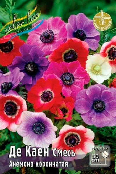 Де каен смесь