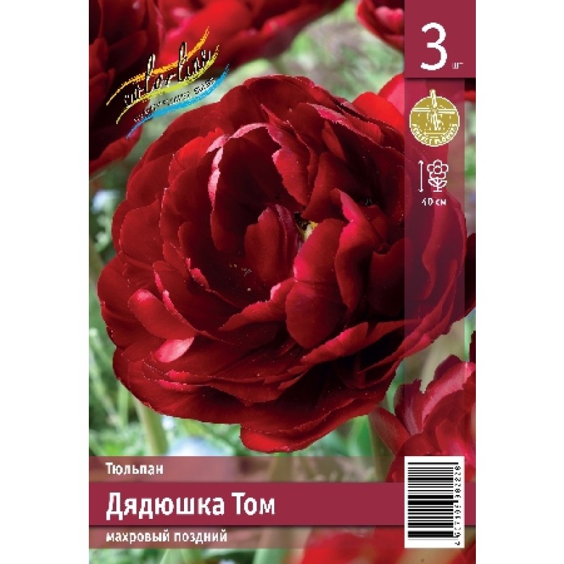 Тюльпан Дядюшка Том (ИС) 3 эконом
