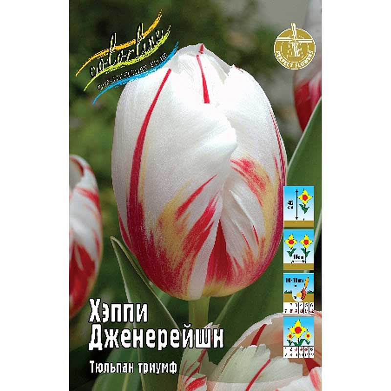 Хэппи дженерейшн
