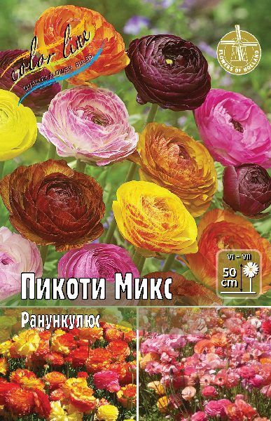 Ранинкулюс пикоти микс