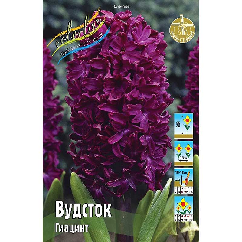 Вудсток