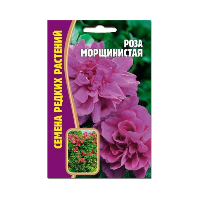 Цв.Роза Морщинистая (Григорьев) 10шт