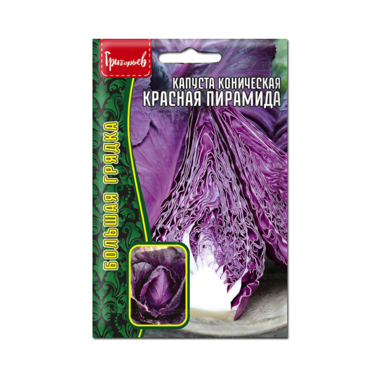 Капуста Краснокочанная Красная пирамида (Григорьев) 0,2г