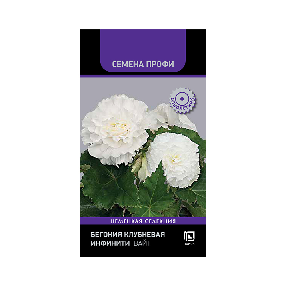 Бегония Инфинити вайт F1 (Поиск) 7шт