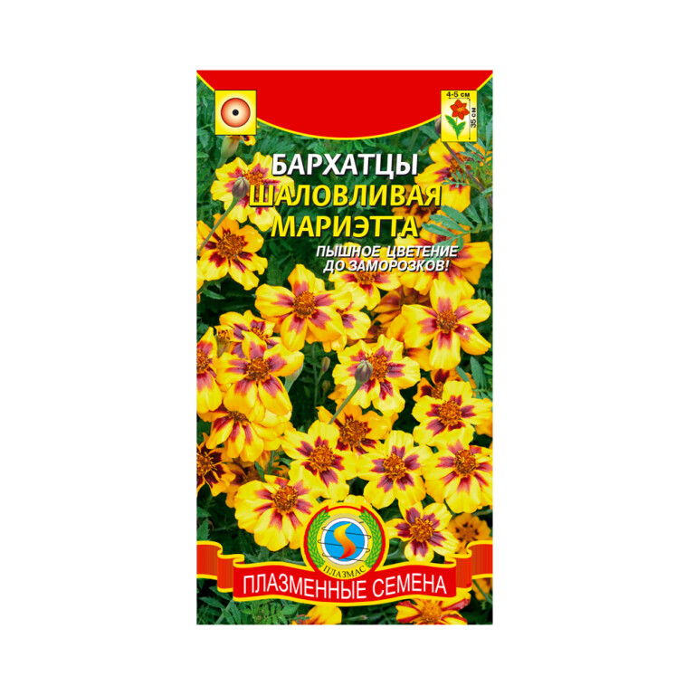 Цв.Бархатцы Шаловливая Мариэтта (Плазма)