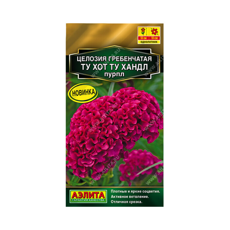 Цв.Целозия Ту хот ту хандл пурпл (Аэлита) 5шт