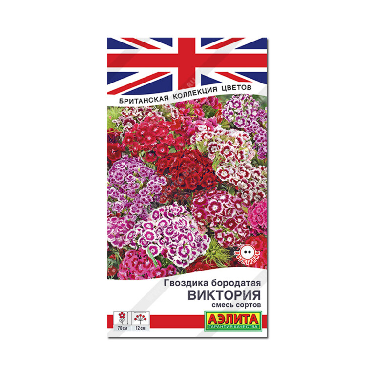 Цв.Гвоздика Виктория смесь сортов (Аэлита) 0,1г