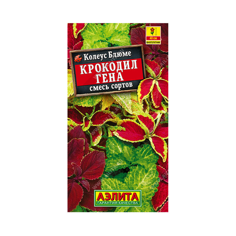 Цв.Колеус Блюме Крокодил Гена смесь (Аэлита) 0,05г