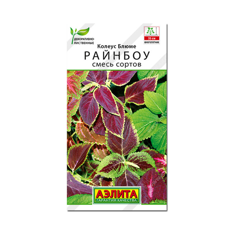 Цв.Колеус Блюме Райнбоу смесь (Аэлита) 0,05г