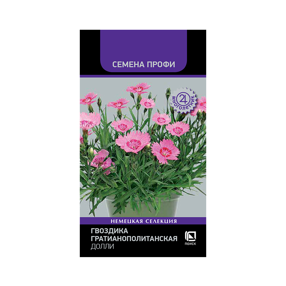 Гвоздика Долли (Поиск) 7шт
