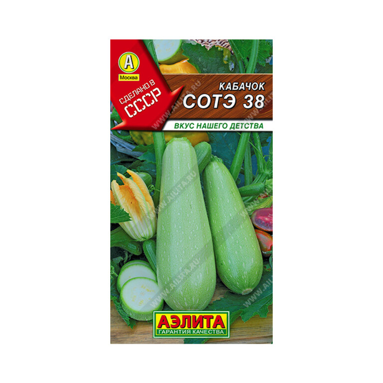 Кабачок Сотэ 38 (Аэлита) 1г