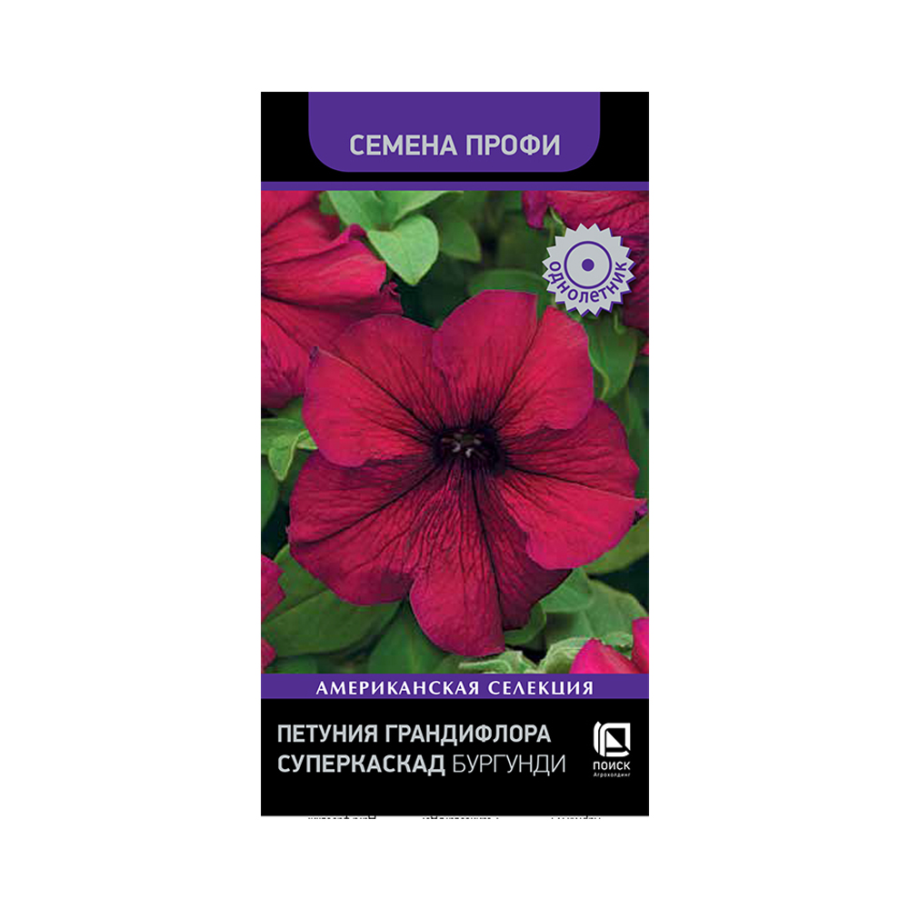 Петуния Суперкаскад бургунди (Поиск)