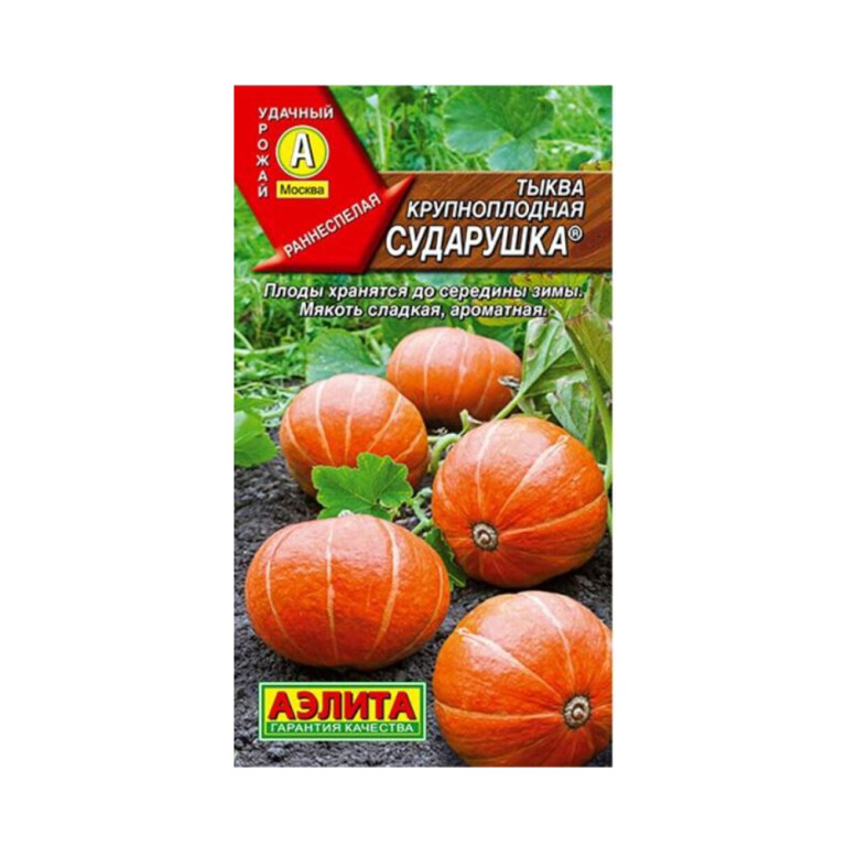 Тыква Сударушка  (Аэлита)