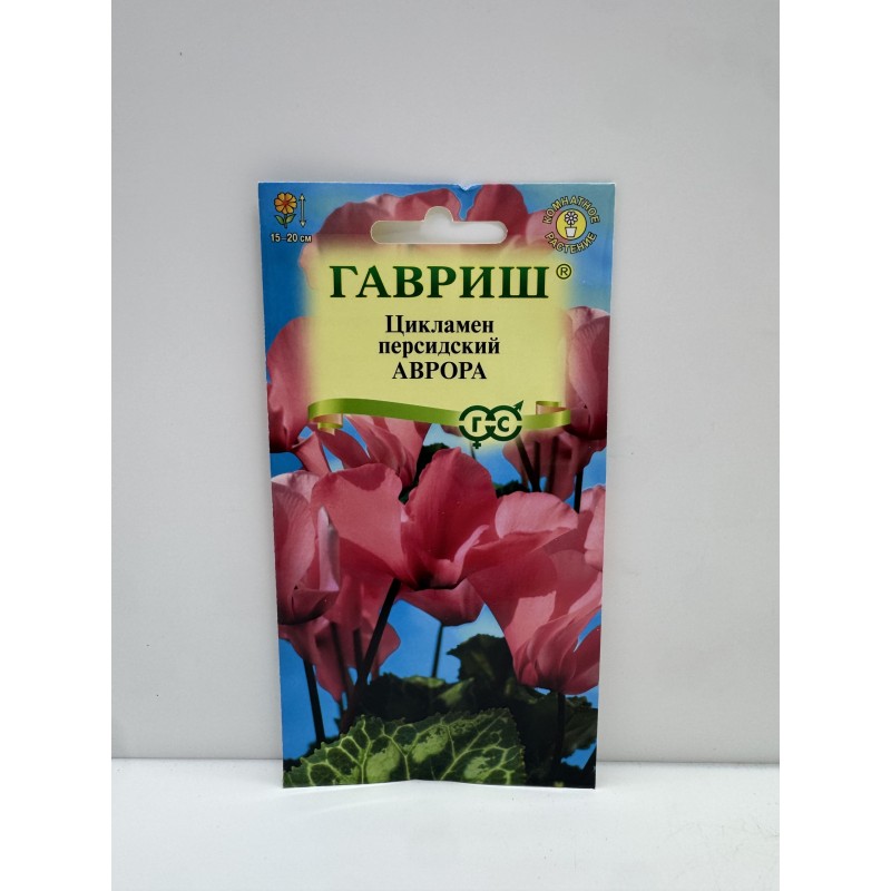 Цв.Цикламен Аврора (Гавриш) 12.27