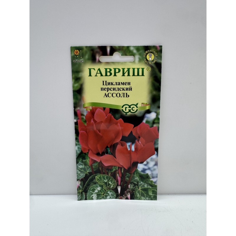 Цв.Цикламен Ассоль (Гавриш) 12.27