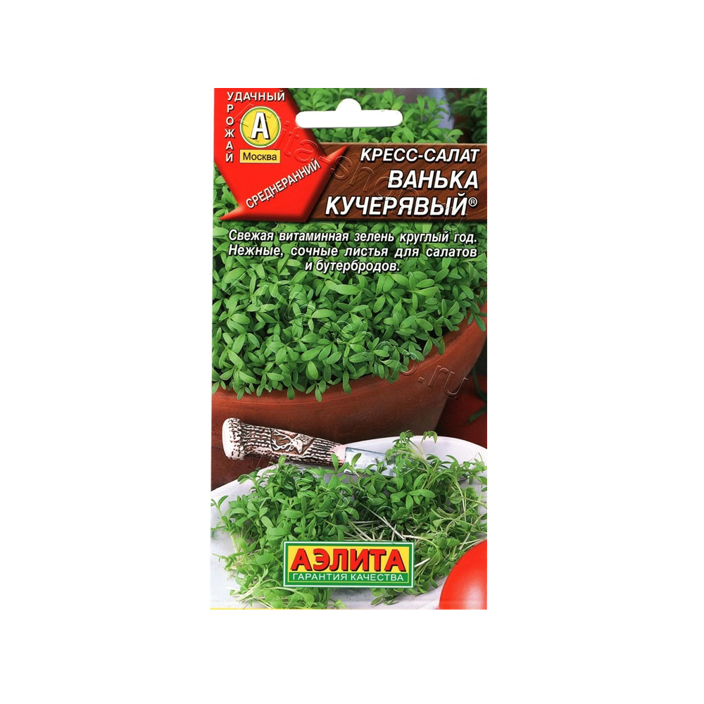 Салат Кресс-салат Ванька кучерявый (Аэлита)
