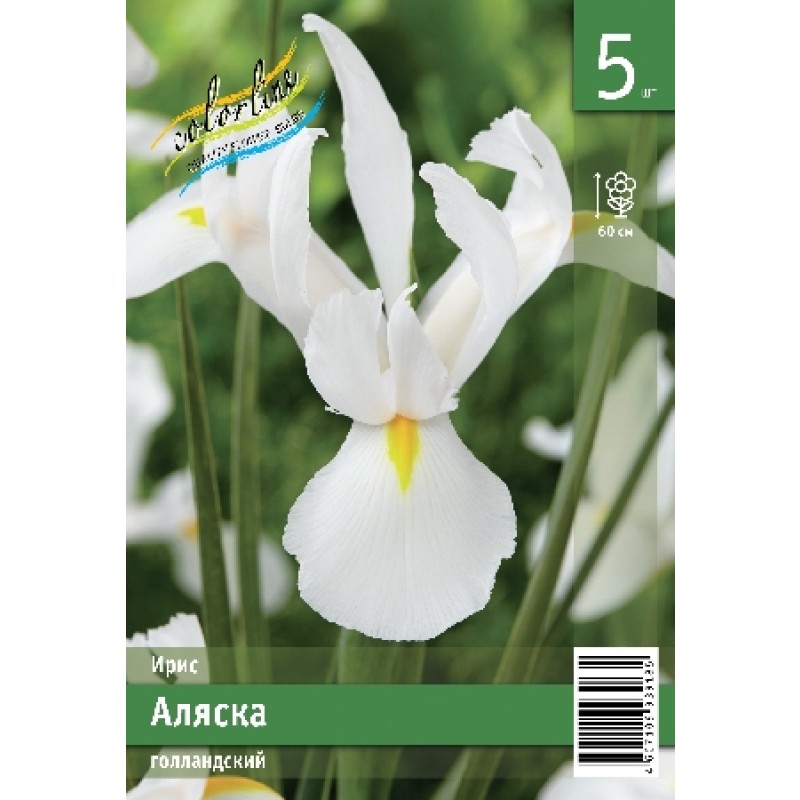 Ирис Аляска 8/9 (ИС) 5 эконом