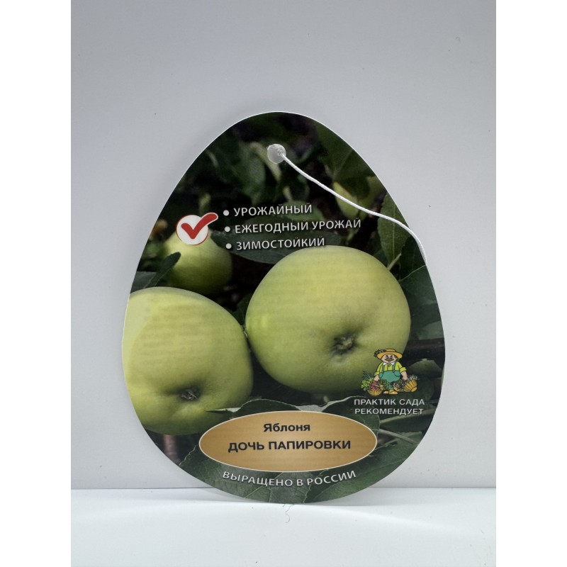 Яблоня Дочь Папировки (Поиск) этикетка