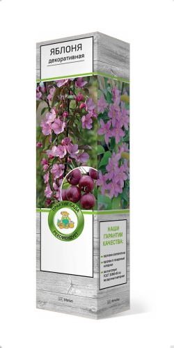 Яблоня декоративная Маковецкого+