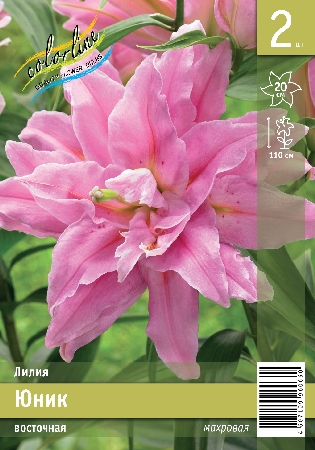 Юник эконом