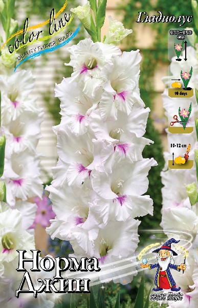 qyoion37tnoag8ssq05qmkb5ezsnylvn