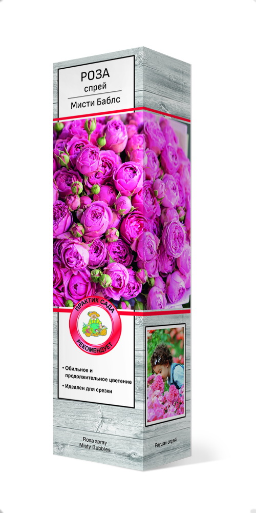 Роза мисти баблс
