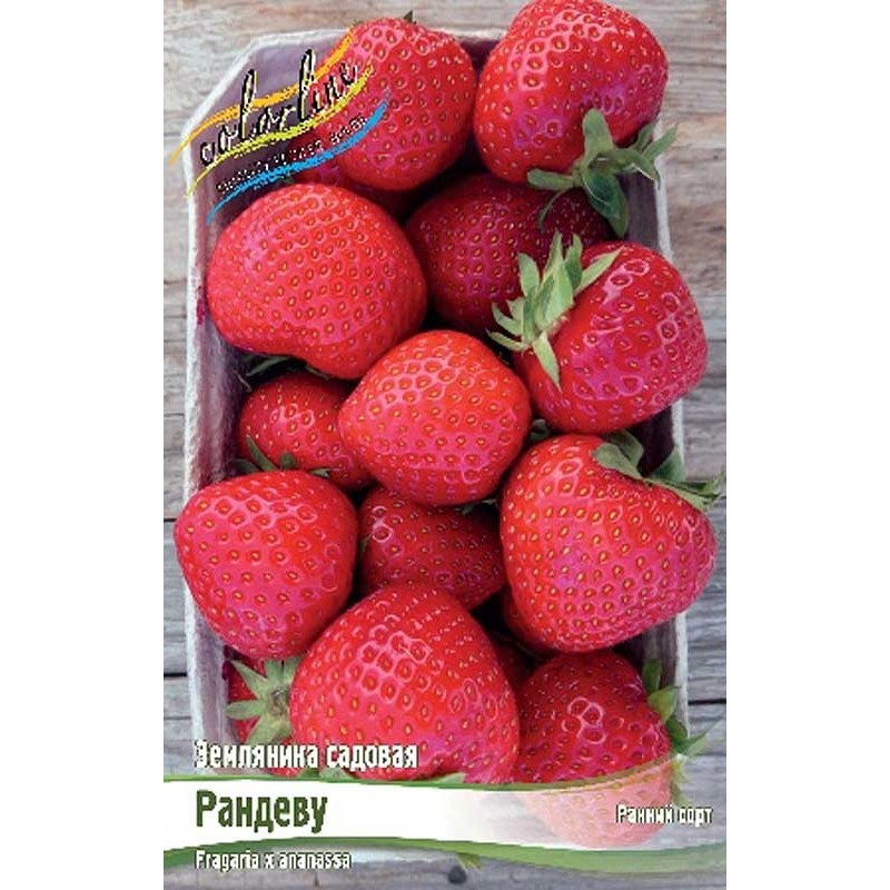 Земляника Рандеву (ИС) 5