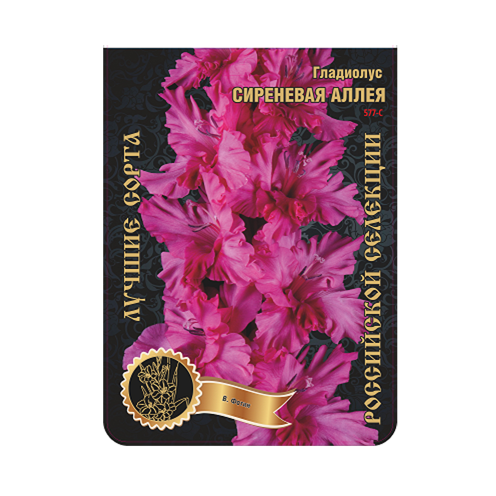 Гладиолус Сиреневая аллея (Сиб сад)