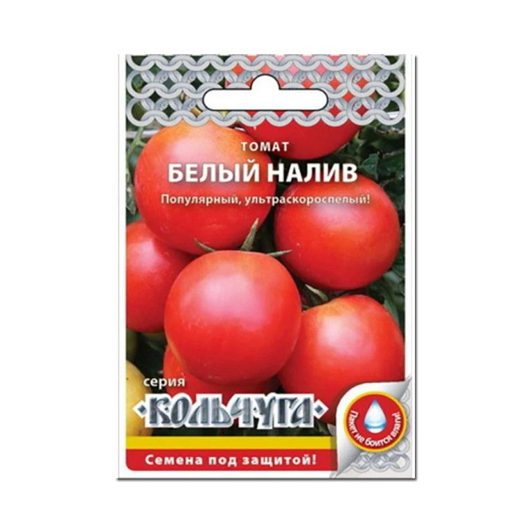 Томат Белый налив 241 (Кольчуга)