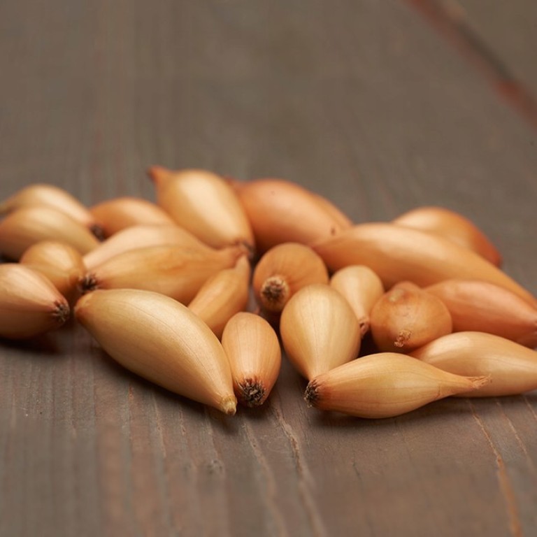 Лук севок Бирнформиге 10/24 (Голландия) ~20кг