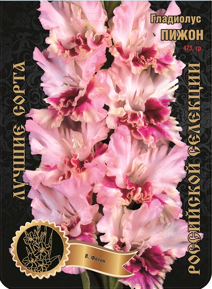 fsu6w3m37f2hla9moxduc0rgipdpoqpc