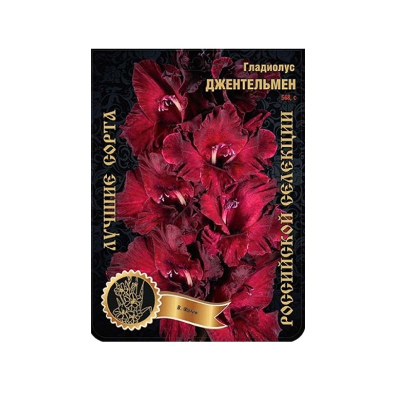 Гладиолус Джентельмен (Сиб.сад) 7/1р-р