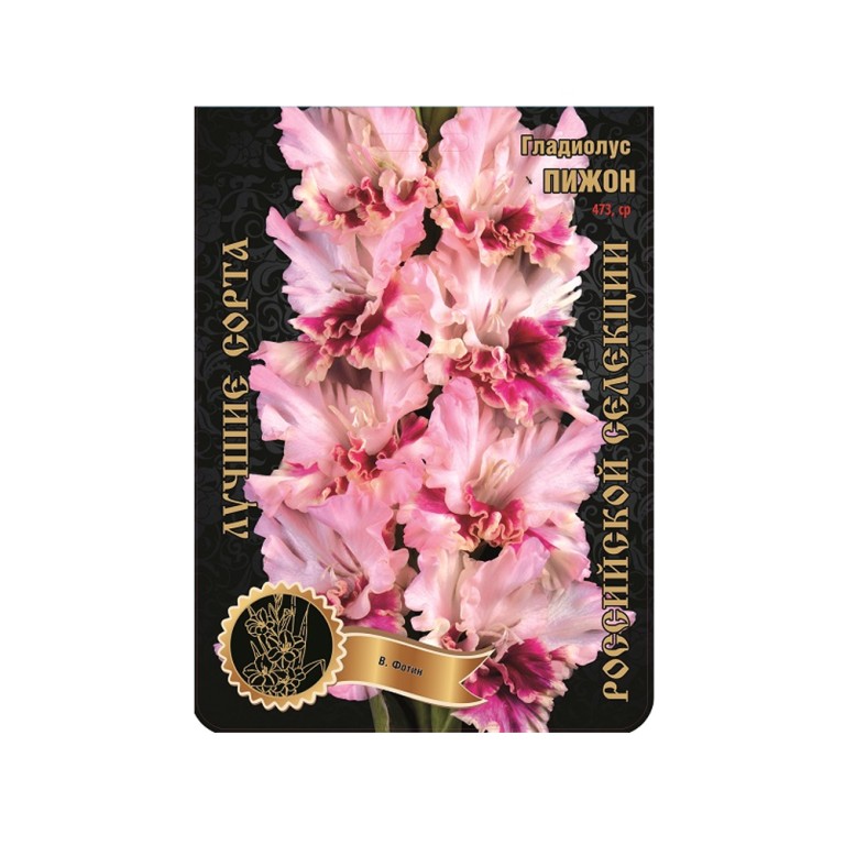 Гладиолус Пижон (Сиб.сад) 7/1р--р
