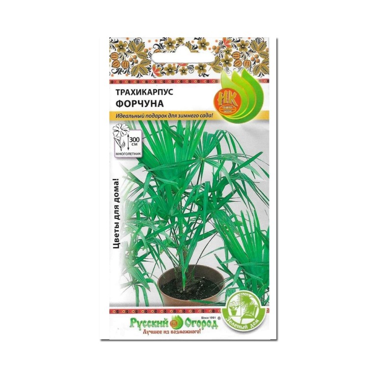 Цв.Трахикарпус Форчуна (НК)