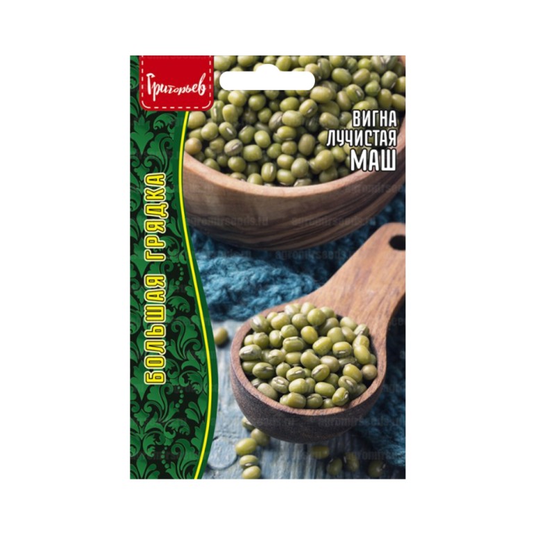 Вигна Маш (Григорьев) 10г