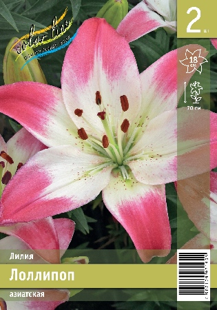 Лолиппоп эконом