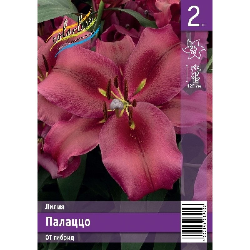 Лилии Палаццо (ИС) 2 эконом