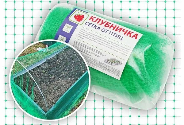 Клубничка сетка от птиц 6 на 6