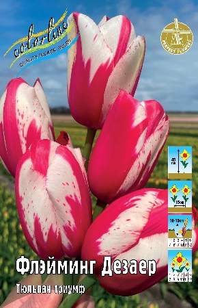 Флэйминг дезайр