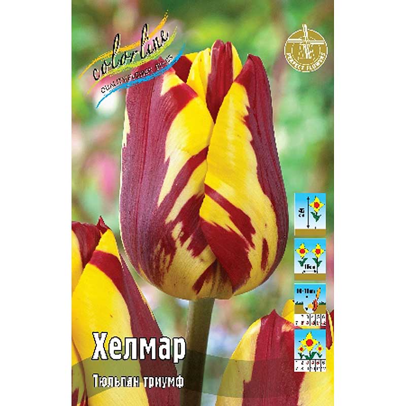 Хелмар