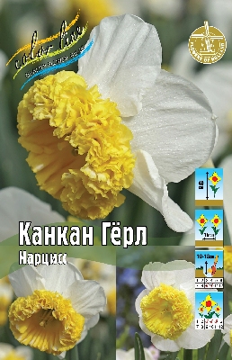 Канкан Герл