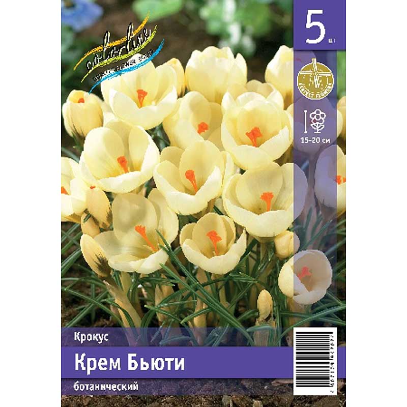 Крем бьюти