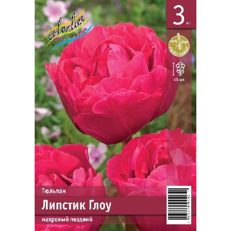 Тюльпан Липстик Глоу (ИС) 3 эконом