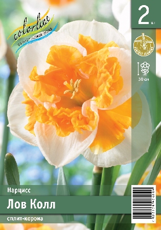Лов кол