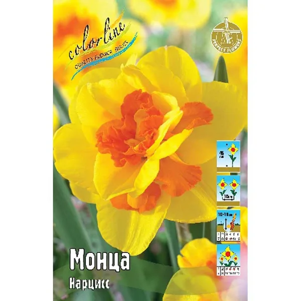 Монца