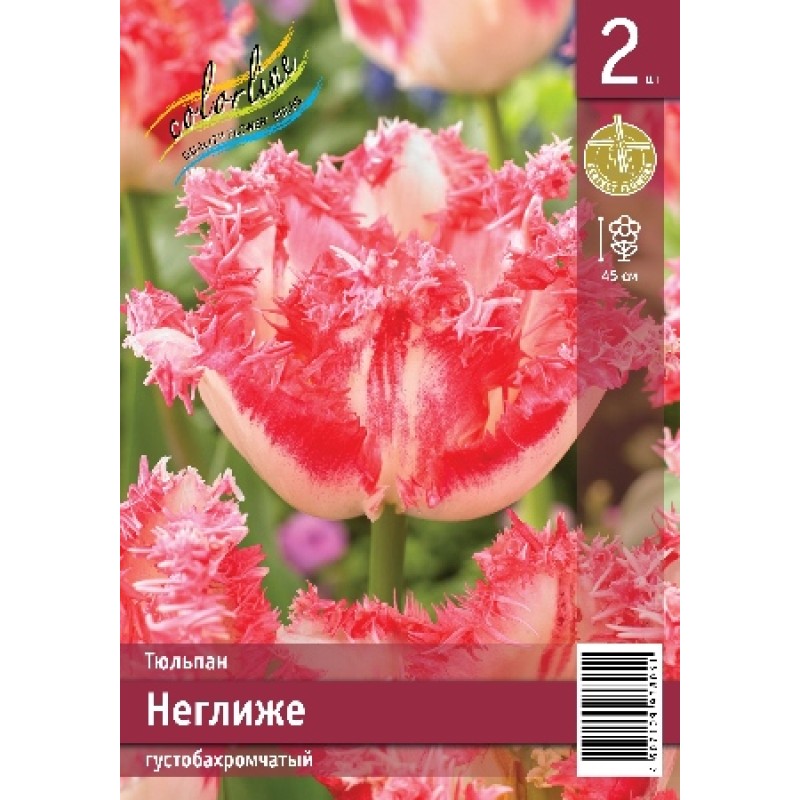 Тюльпан Неглиже (ИС) 2 эконом