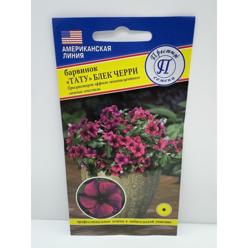 Цв.Барвинок Тату блек черри (Престиж) 3шт