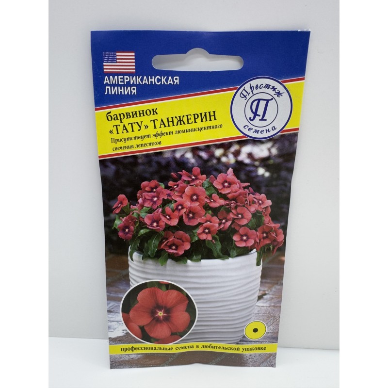 Цв.Барвинок Тату танжерин (Престиж) 3шт