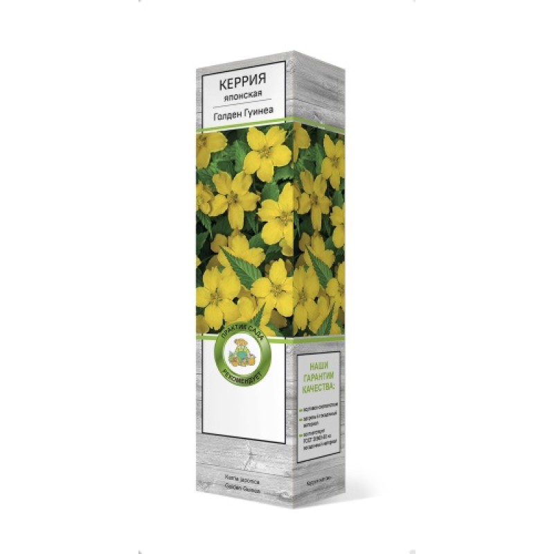 Керрия Голден Гуинеа (Поиск) японская